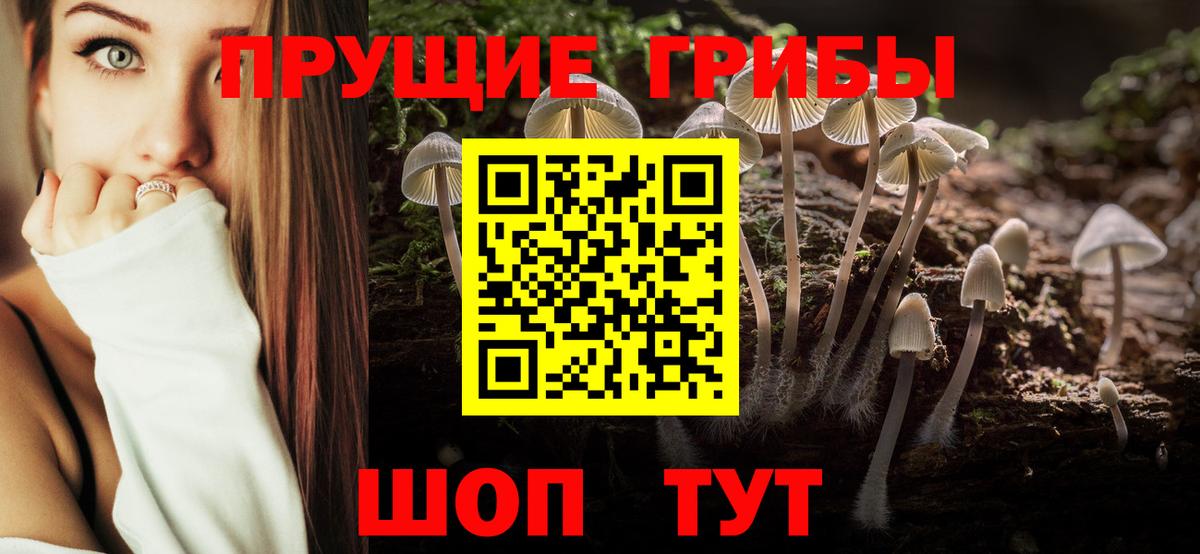 Псилоцибиновые грибы ЛСД Изобильный