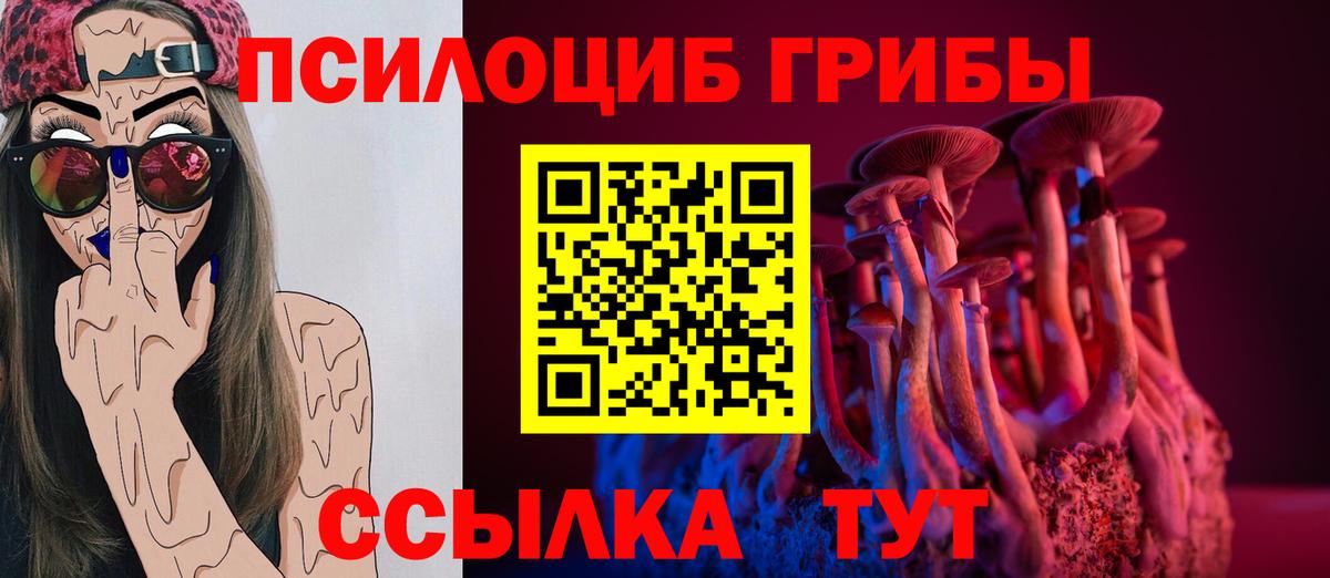 Галлюциногенные грибы Psilocybe  Вход с VPN  Изобильный 